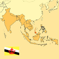 Globalization guide - Map for localization of the country - Brunei